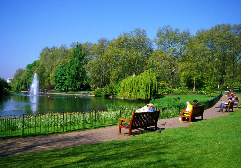 Groene ontmoetingsplek.jpg