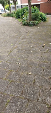 1000011299.jpg