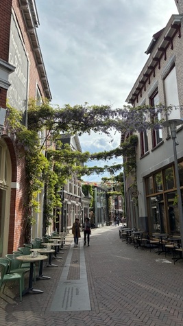 Meer groen in de binnenstad!
