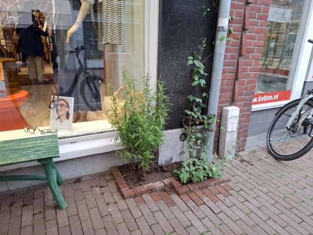 Voorbeeld bij Freule