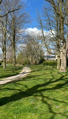 Foto parkje zonder faciliteiten 